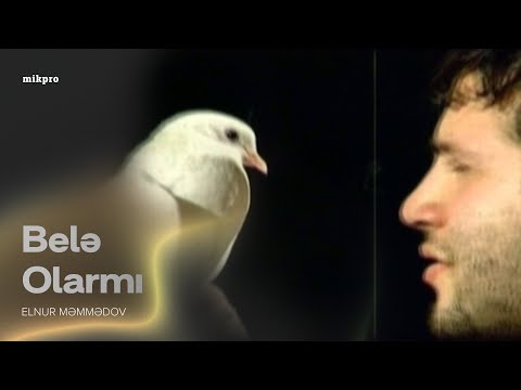 Elnur - Cavabsız suallar